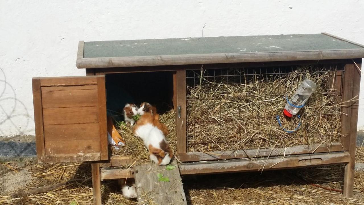 Mobilheim Seezauber Uttendorf Esterno foto